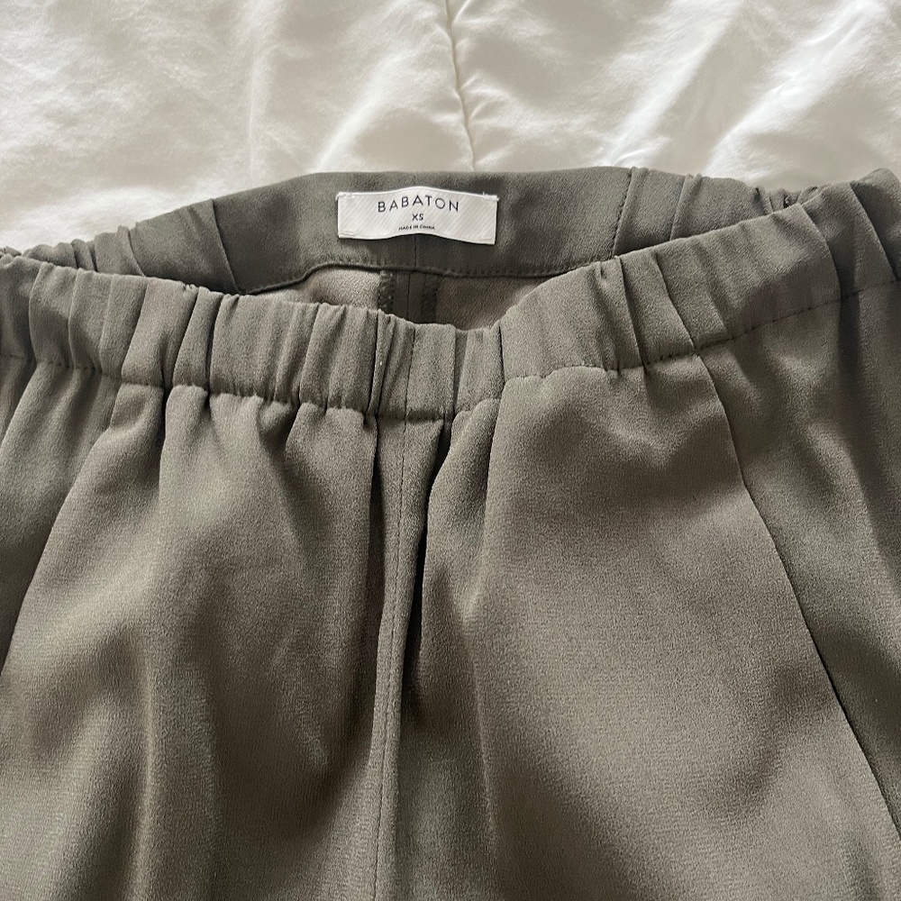 Aritzia dexter pant